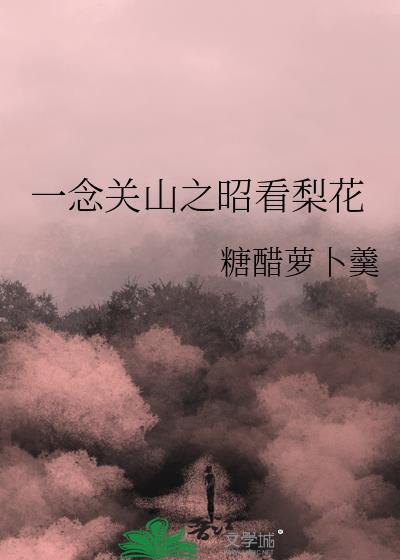 一念关山前昭