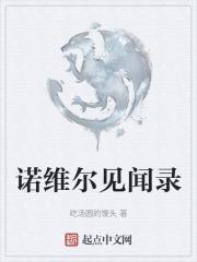 诺维尔现实意义