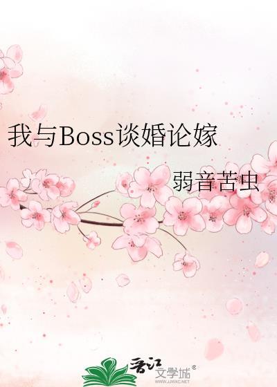 我与boss的二二事