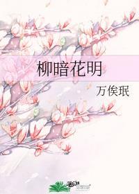 柳暗花明又一村上句是什么