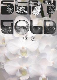 stay gold pony boy含义