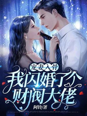 闪婚宠妻无度