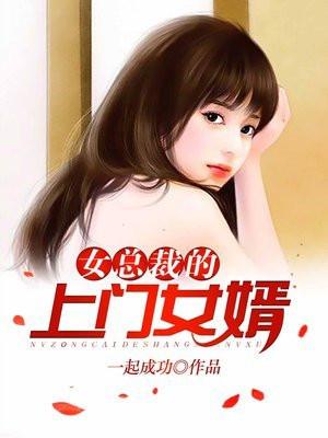 女总裁的上门女婿～叶凡