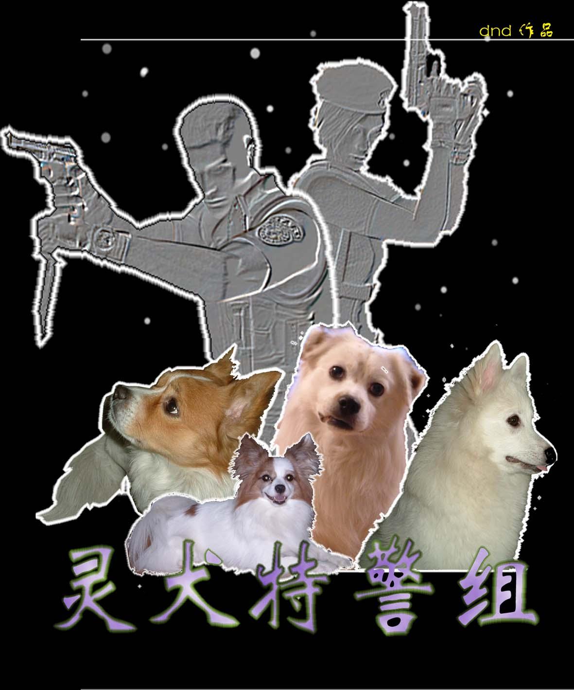 特警犬是什么品种