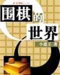 围棋的世界大赛