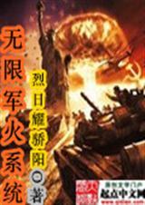 无限军火系统200集