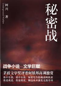 秘密战士幻影甜心变身合集