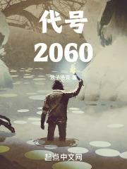 代号2080