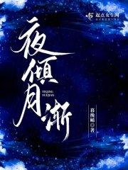 夜倾舞是什么