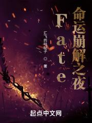 fate命运之夜短篇