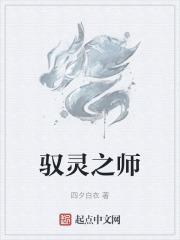 驭灵师1～77