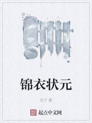 锦衣状元 天子TXT